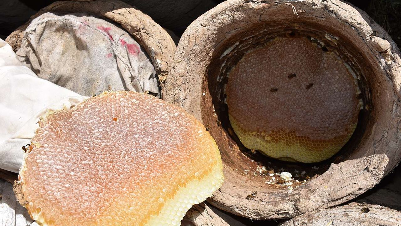 Türkiye"nin 10 lezzeti için tescil başvurusu