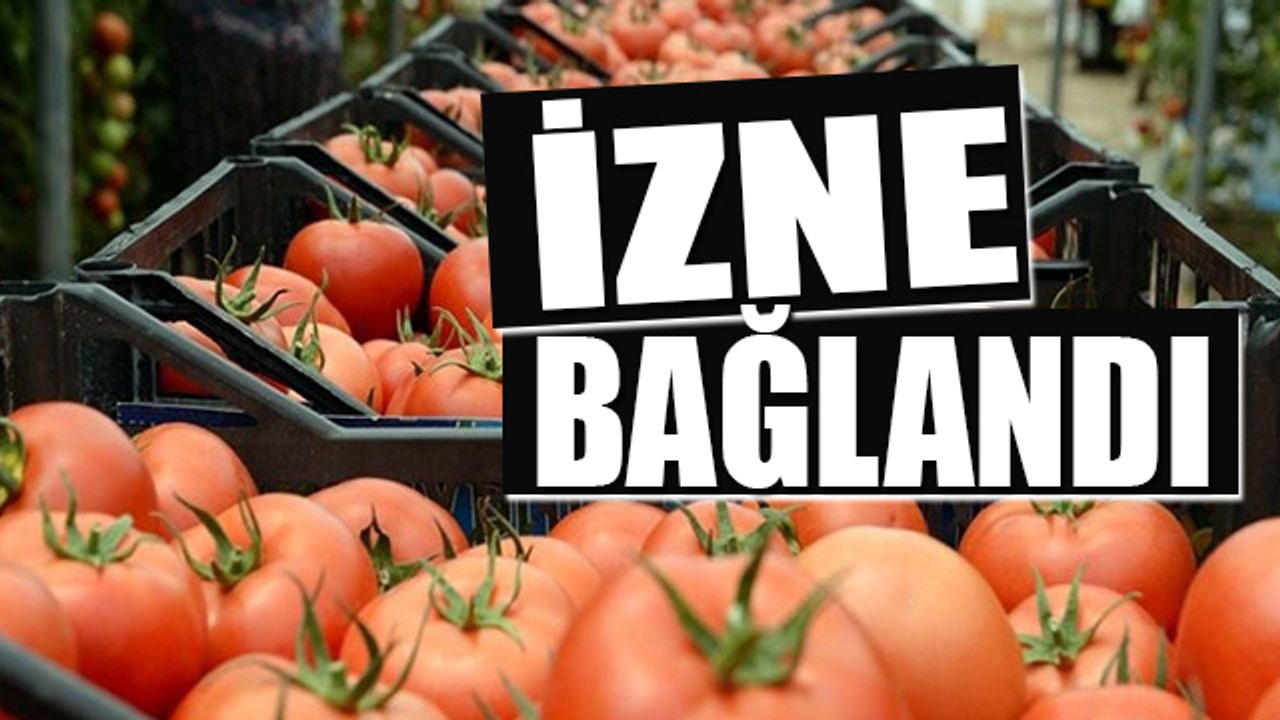 İhracı Kayda Bağlı Mallar Listesi'ne domates eklendi