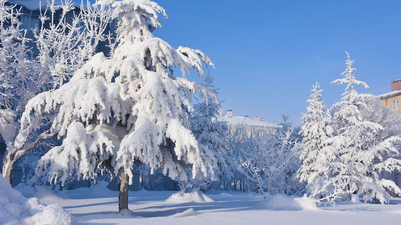 Bitlis'te hava sıcaklığı eksi 20 dereceye düşünce kartpostallık görüntüler oluştu
