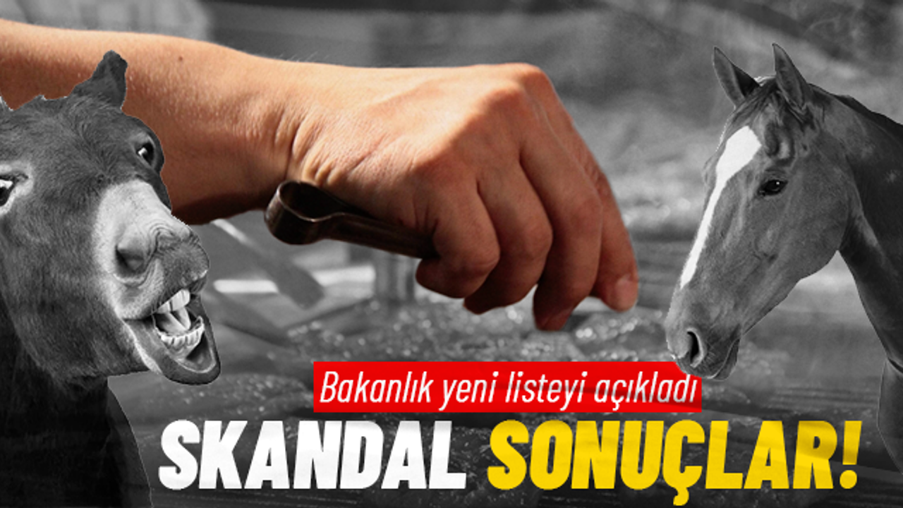 Kıymada kanatlı eti bulundu: İşte yeni ifşa listesi!