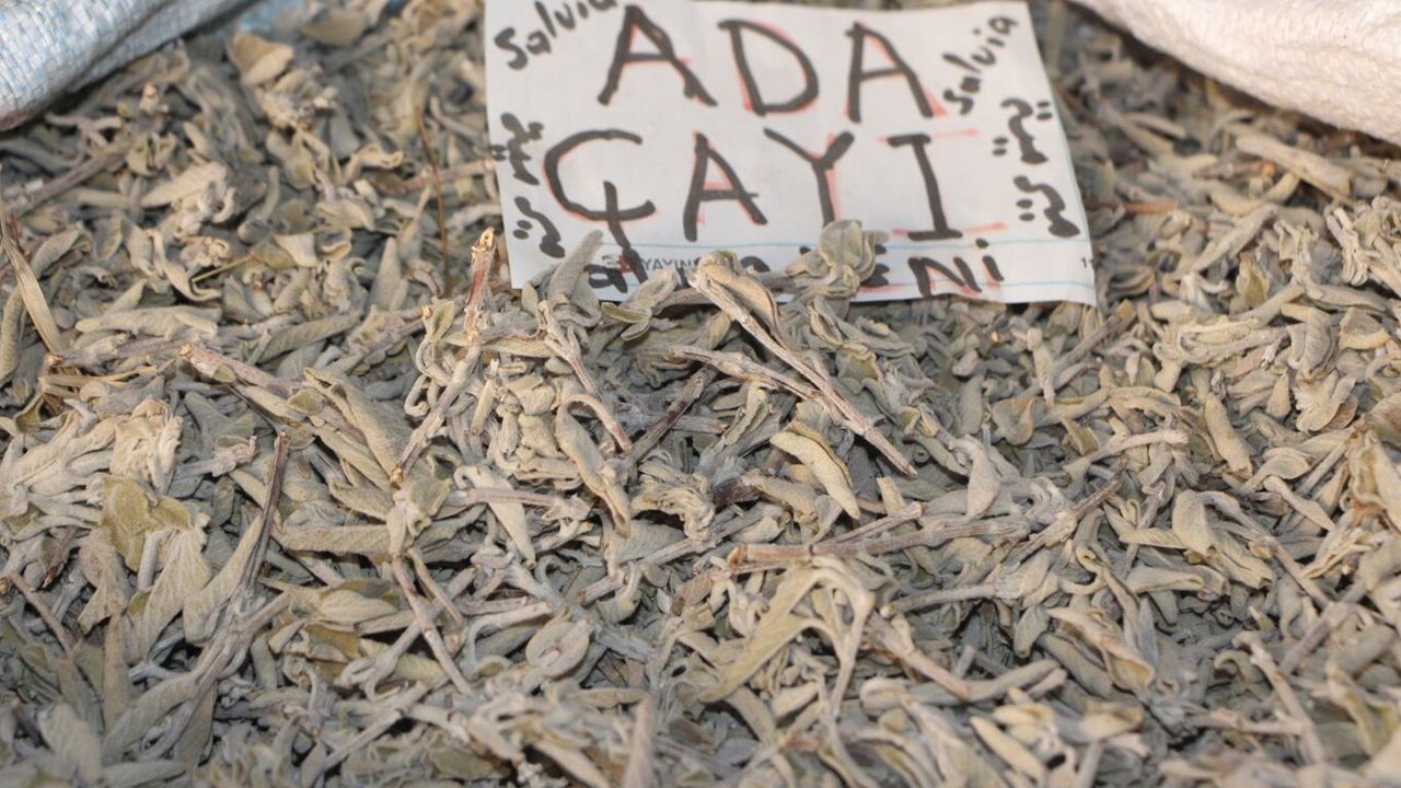 Aktarlardan şifalı bitki ürünlerinde tağşişe karşı uyarı ve tavsiyeler