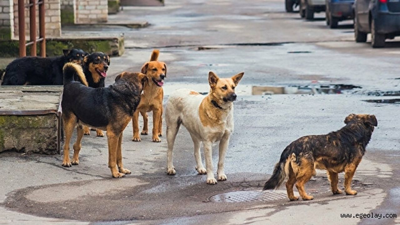Ankaralılar dikkat: 71 bin 695 lira ceza uygulanacak!