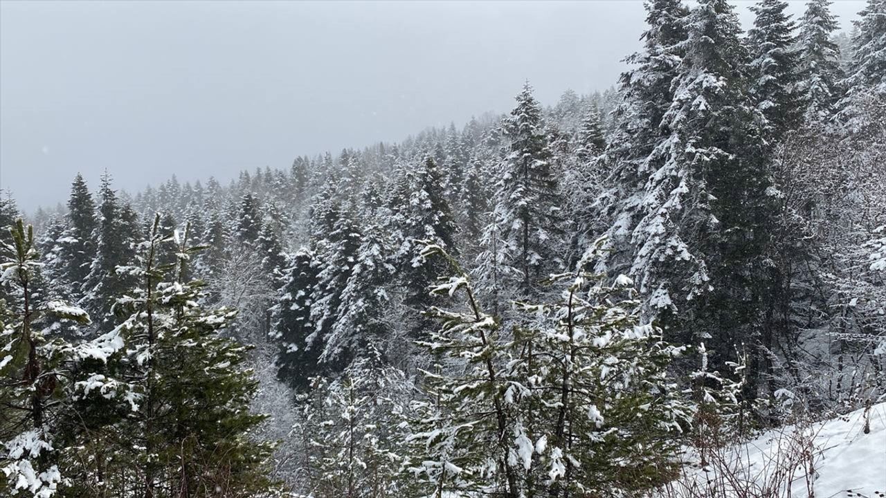 Dünya Meteoroloji Örgütü: La Nina hava olayının kısa ömürlü olması muhtemel