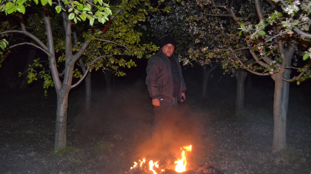Zirai dona karşı ateş yakıyor çiftçiler!