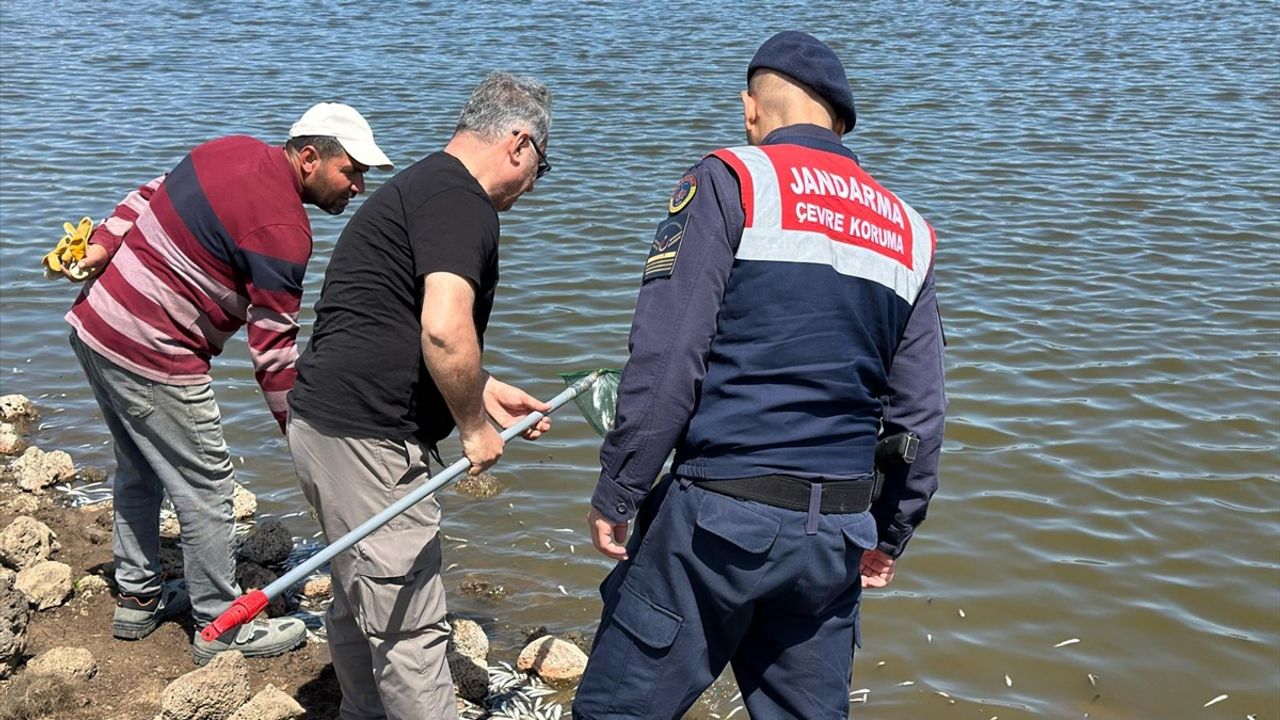 Sulama göletindeki balık ölümleri üzerine inceleme başlatıldı