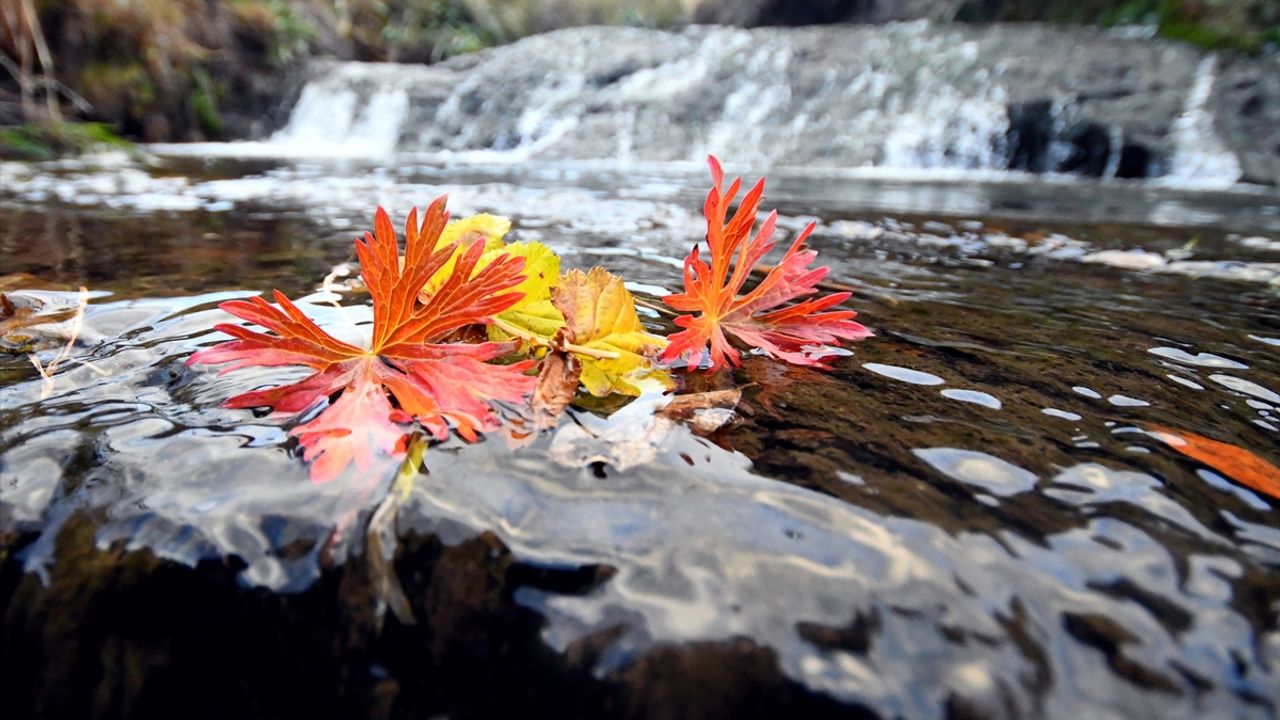 Keklik Vadisi'nde sonbahar güzelliği yaşanıyor