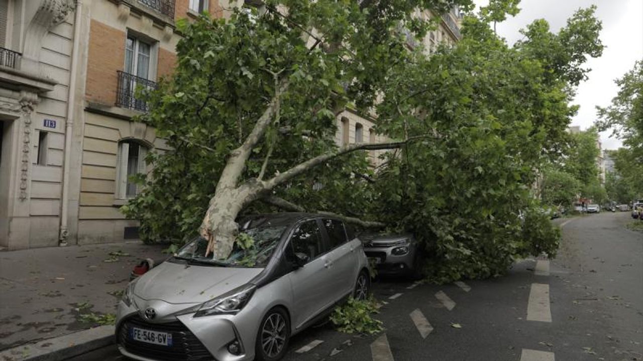 Fransa'da başkentteki park ve bahçeler kapatıldı!
