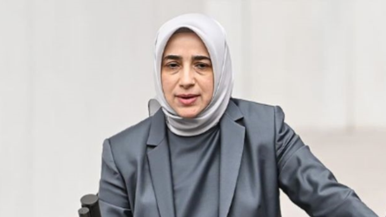 Özlem Zengin siyonist çifte vatandaşları savundu!