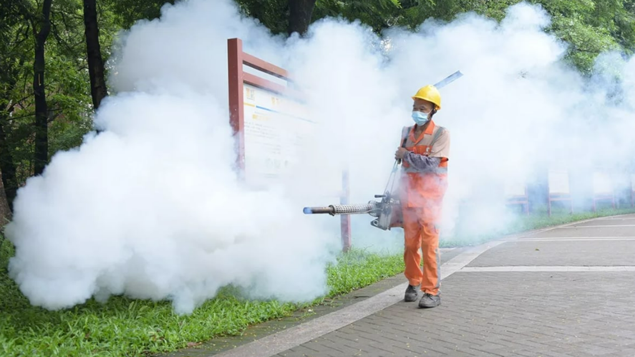 Dev sürüler durdurulamıyor: Çin'de yeni salgın