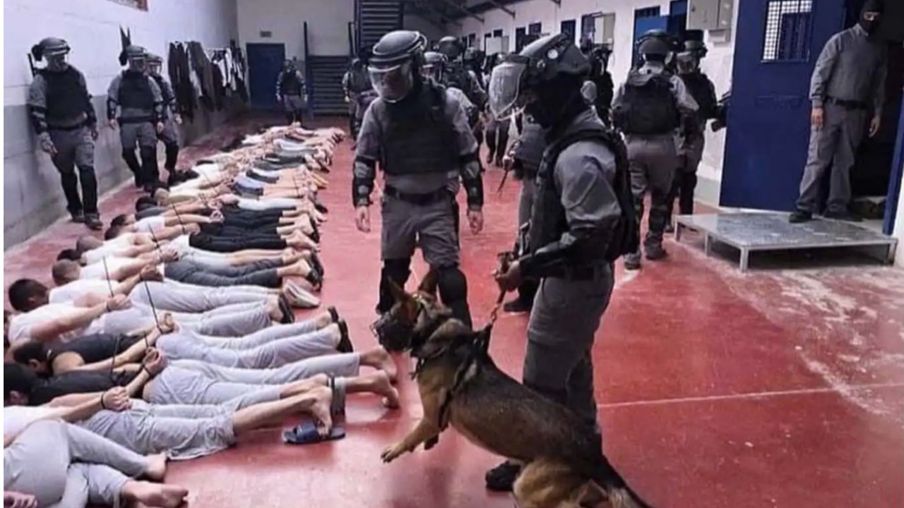 135 Filistinlinin işkence izleri taşıyan naaşı Gazze'ye gönderildi