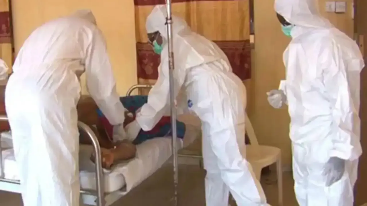 Lassa ateşi nedeniyle ölenlerin sayısı 177'ye yükseldi