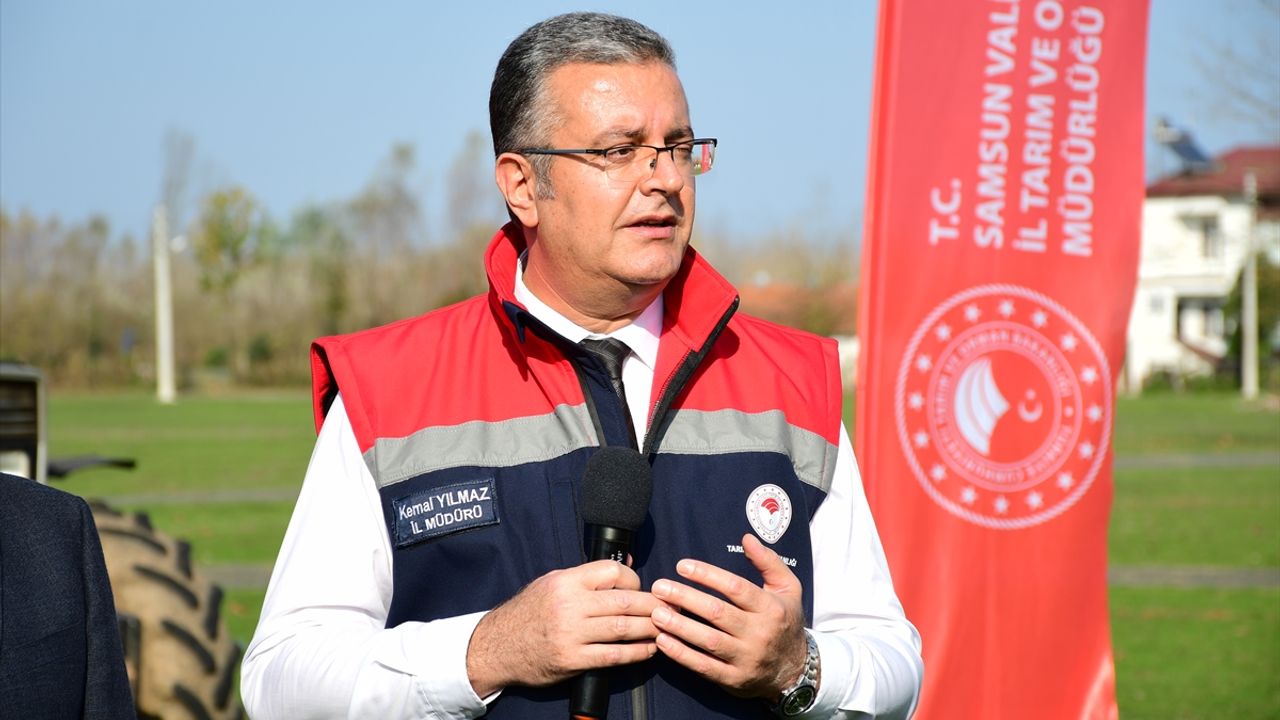 Samsun'da kahverengi kokarcaya karşı mücadele sürüyor