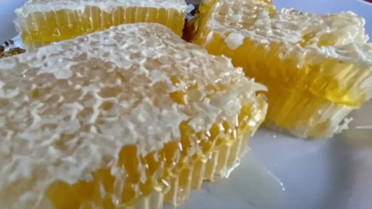 Öğrenince Şaşıracaksınız: Guinness Rekorlu Dünyanın En Pahalı Balı Hangi Ülkede?