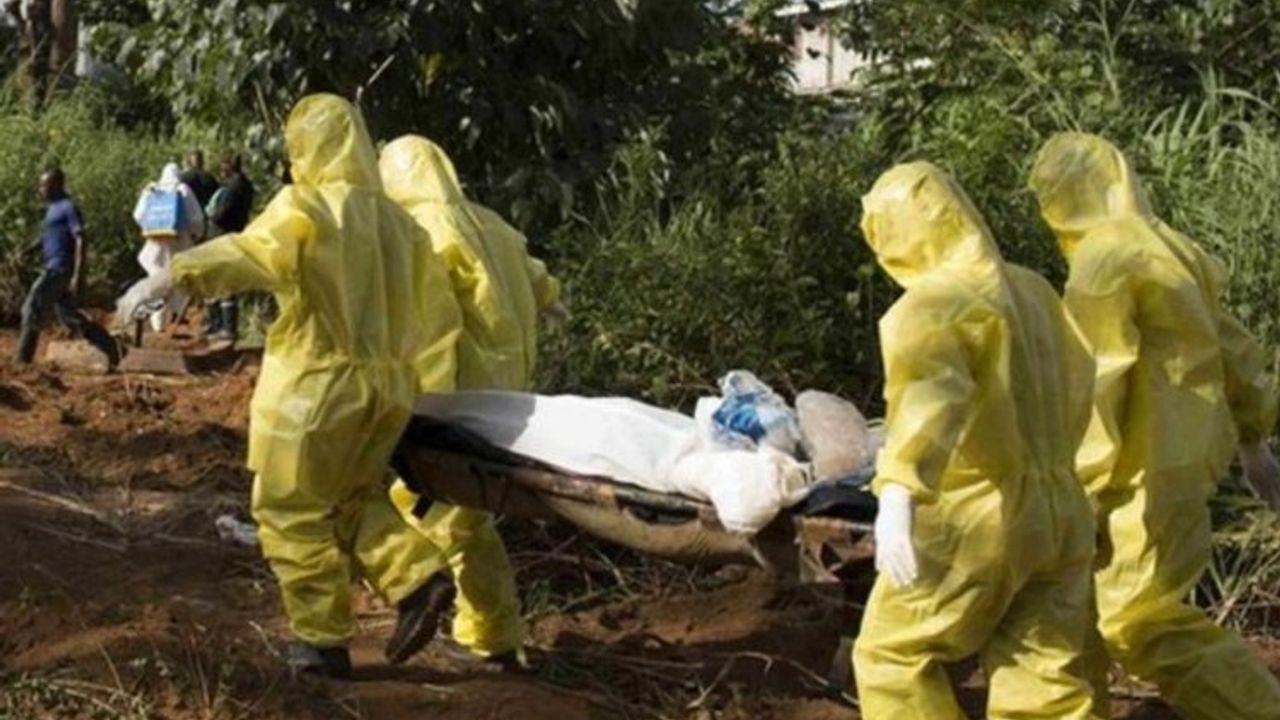 Nijerya'da Lassa ateşi nedeniyle bilanço ağırlaşıyor!