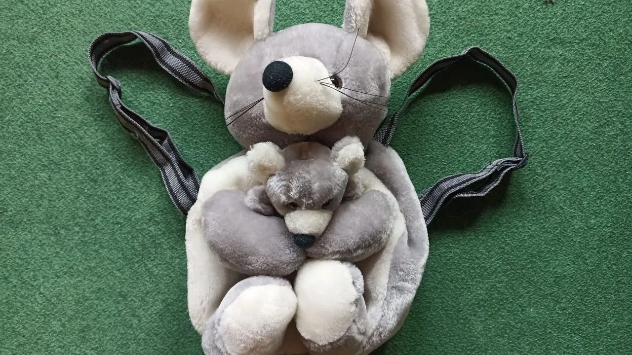 Bakanlıktan ailelere uyarı geldi!  Pelüş çanta ve pijama takımı toplatılıyor