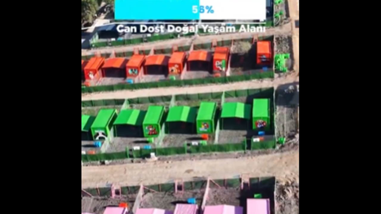 Depremlerin Durmadığı Şehirde Belediye 75.000 m²’lik Lüks Köpek Tesisi Kurdu