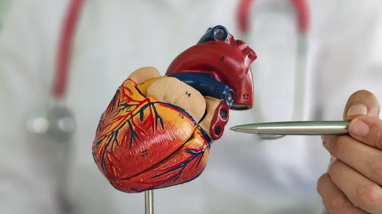 Gençlerde ani ölümlerin nedenleri