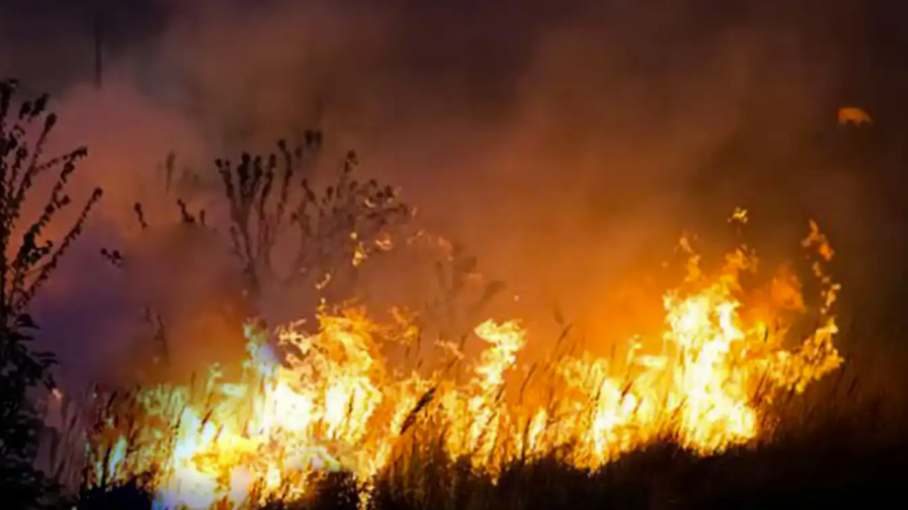 Hakkari'deki Nehil Sazlığı'nda yangın