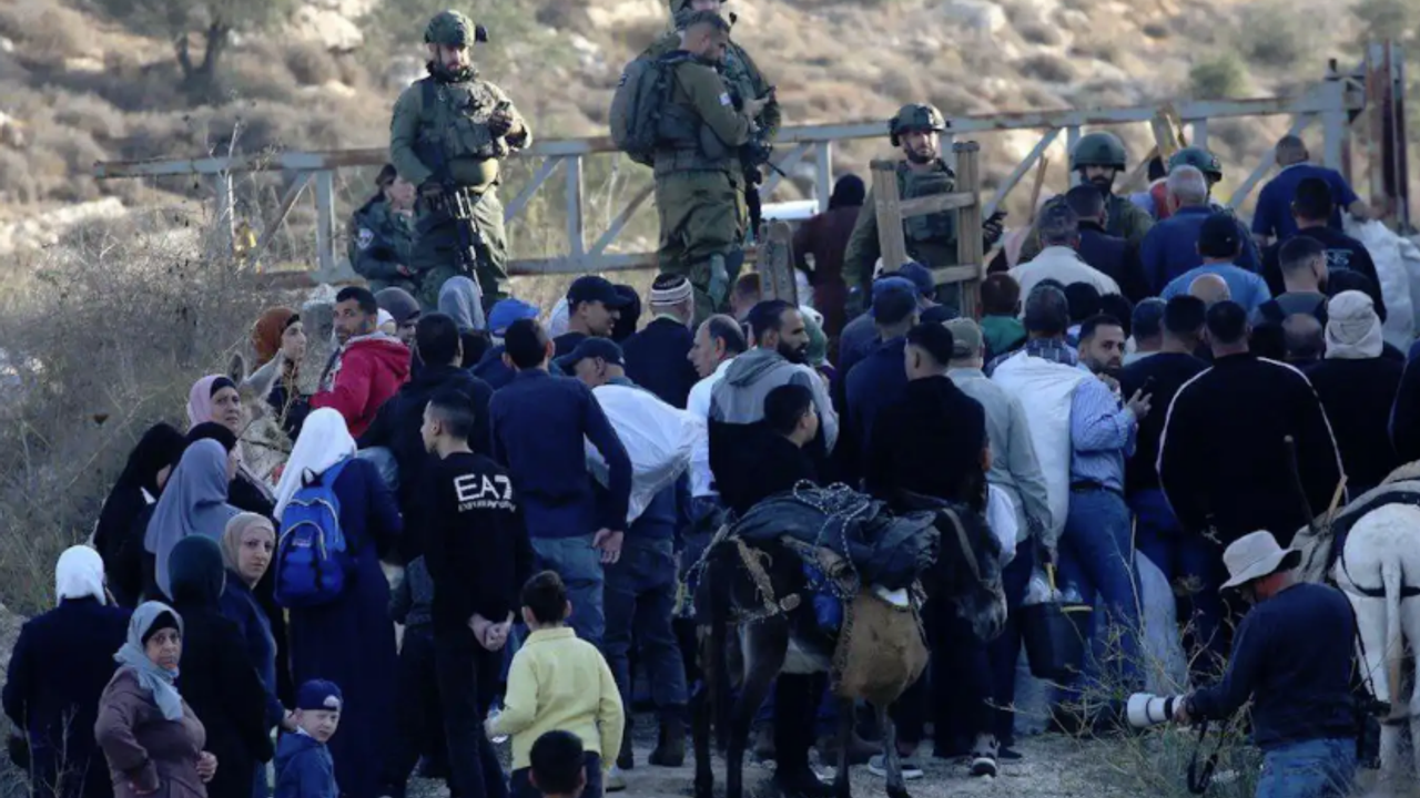 Siyonistler,  çiftçilerin zeytinliklere erişimini engelledi