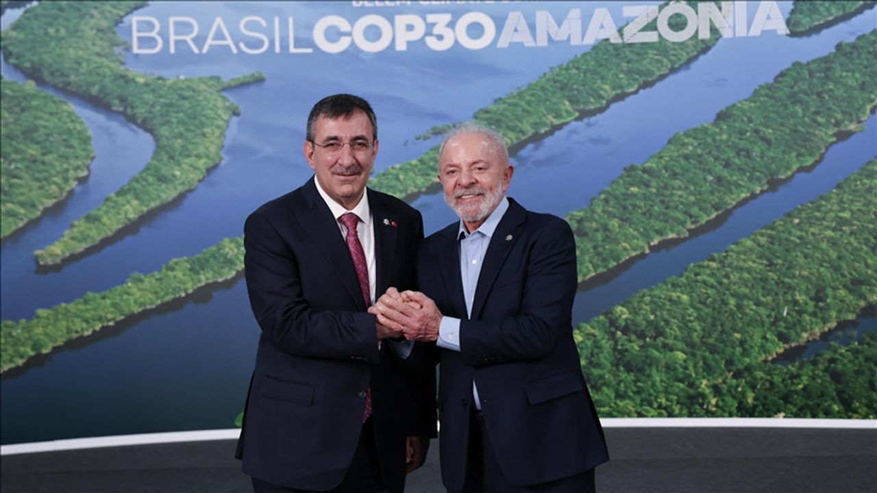 Cumhurbaşkanı Yardımcısı Yılmaz, Brezilya Devlet Başkanı ile bir araya geldi