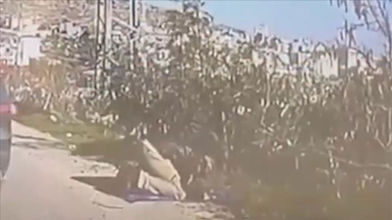 İşgal askeri, yol kenarında namaz kılan Filistinli…