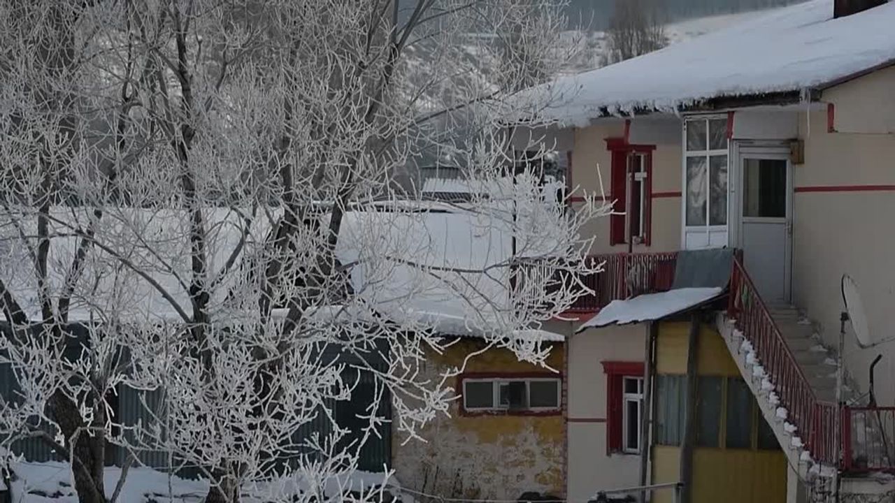 Sulak alanlar buzla kaplandı, tüm şehir kırağıya teslim oldu