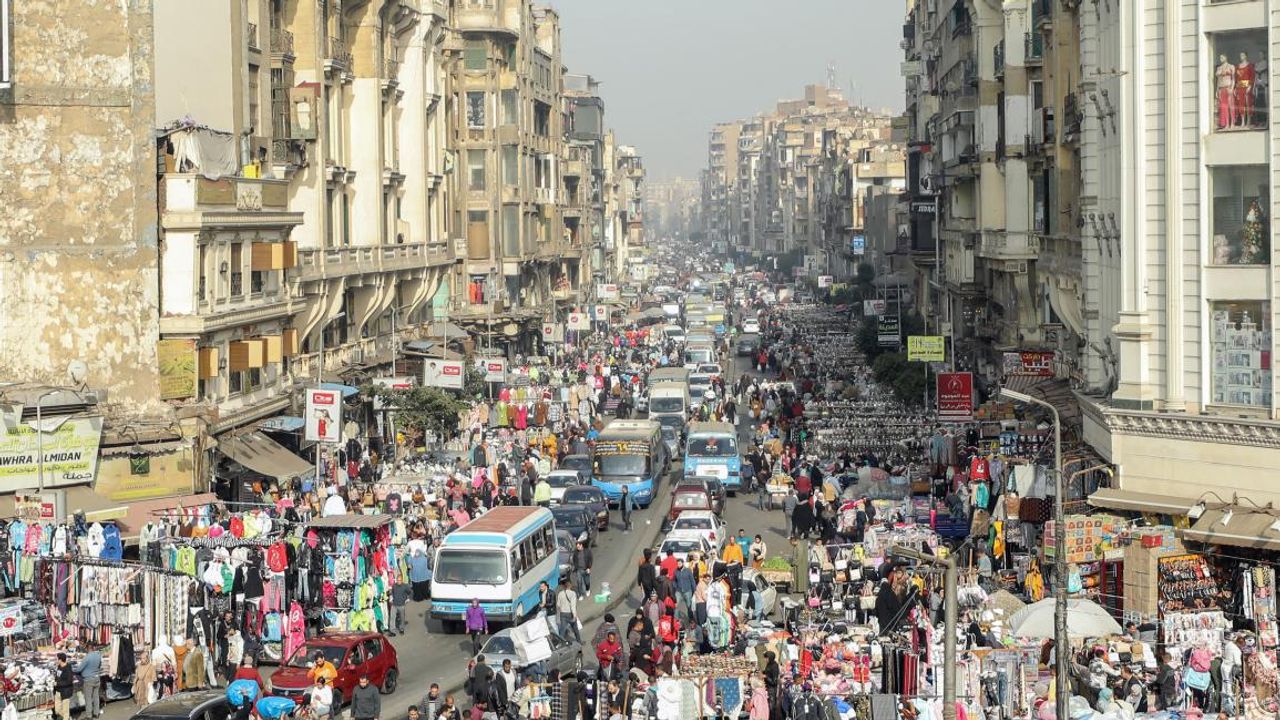 Ev yiyen böcek ülkeye dadandı: Evler birer birer çöküyor