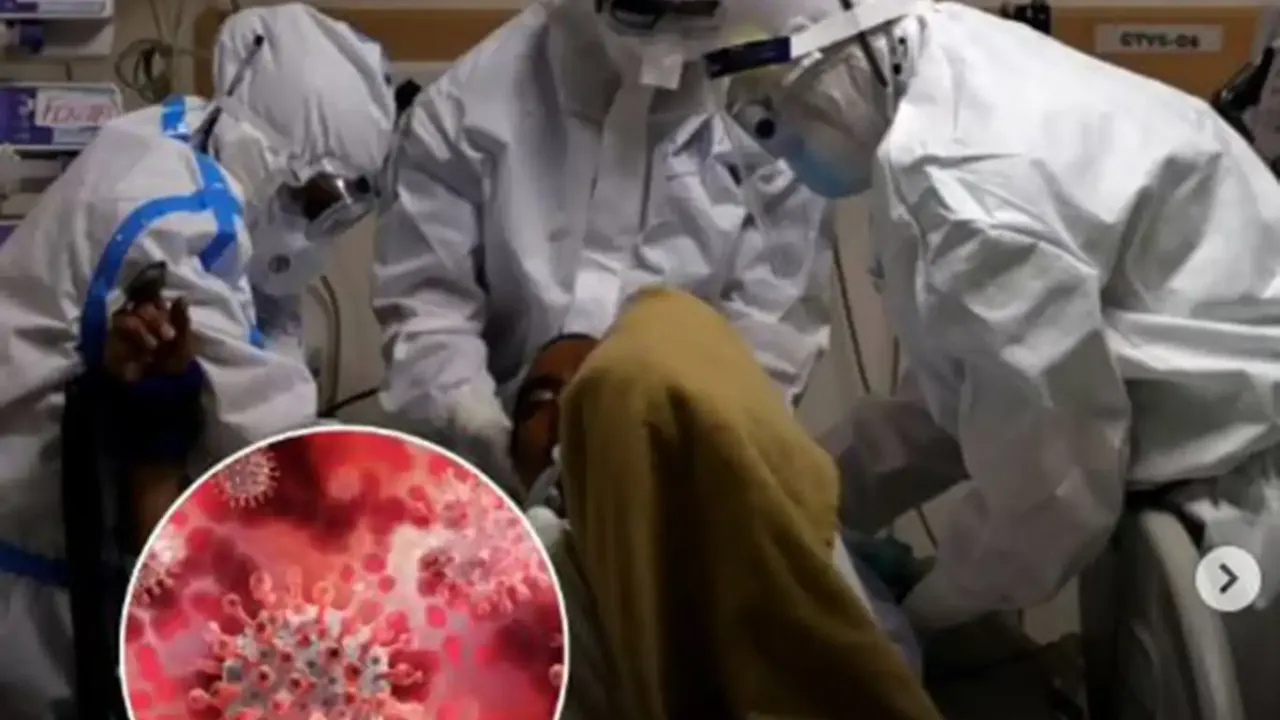 Asya'da Nipah virüsü alarmı!