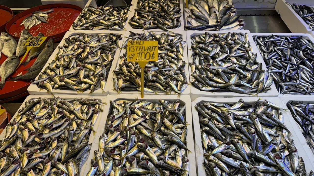 Balıkçı tezgahlarında hamsi ve istavrit fiyatları ne?