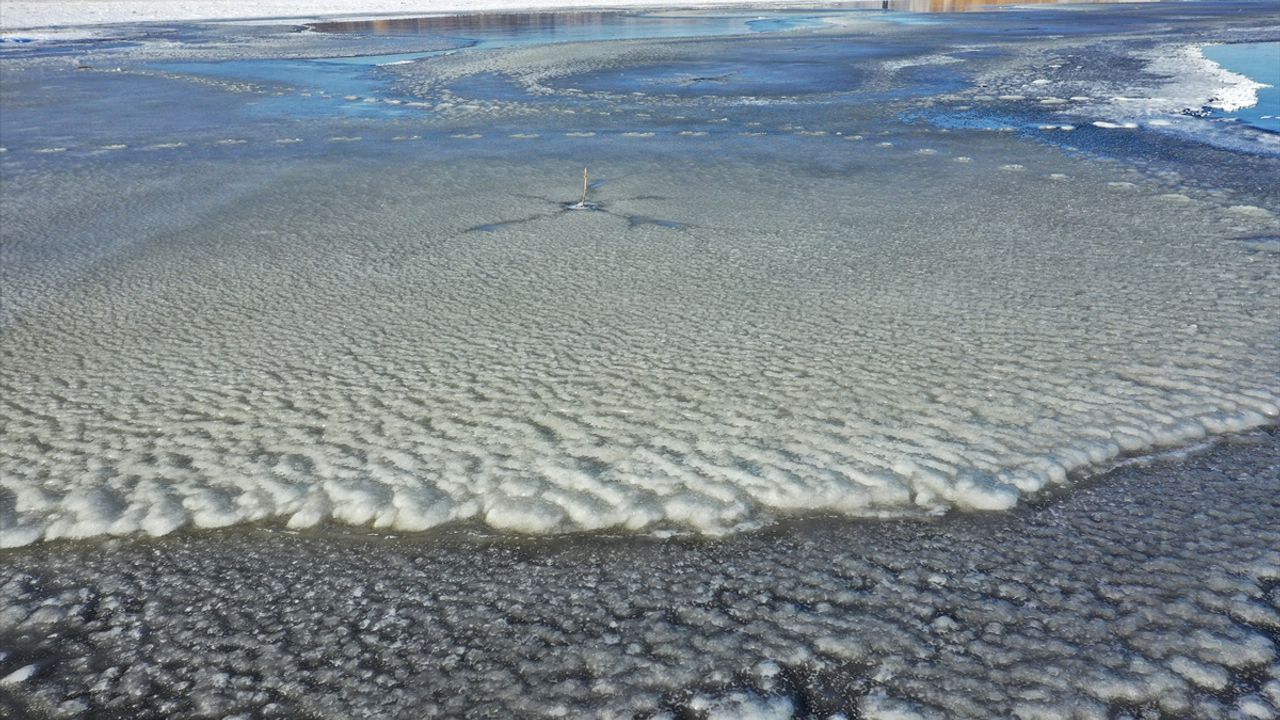 Kuşlara ev sahipliği yapan sulak alanlar dondu