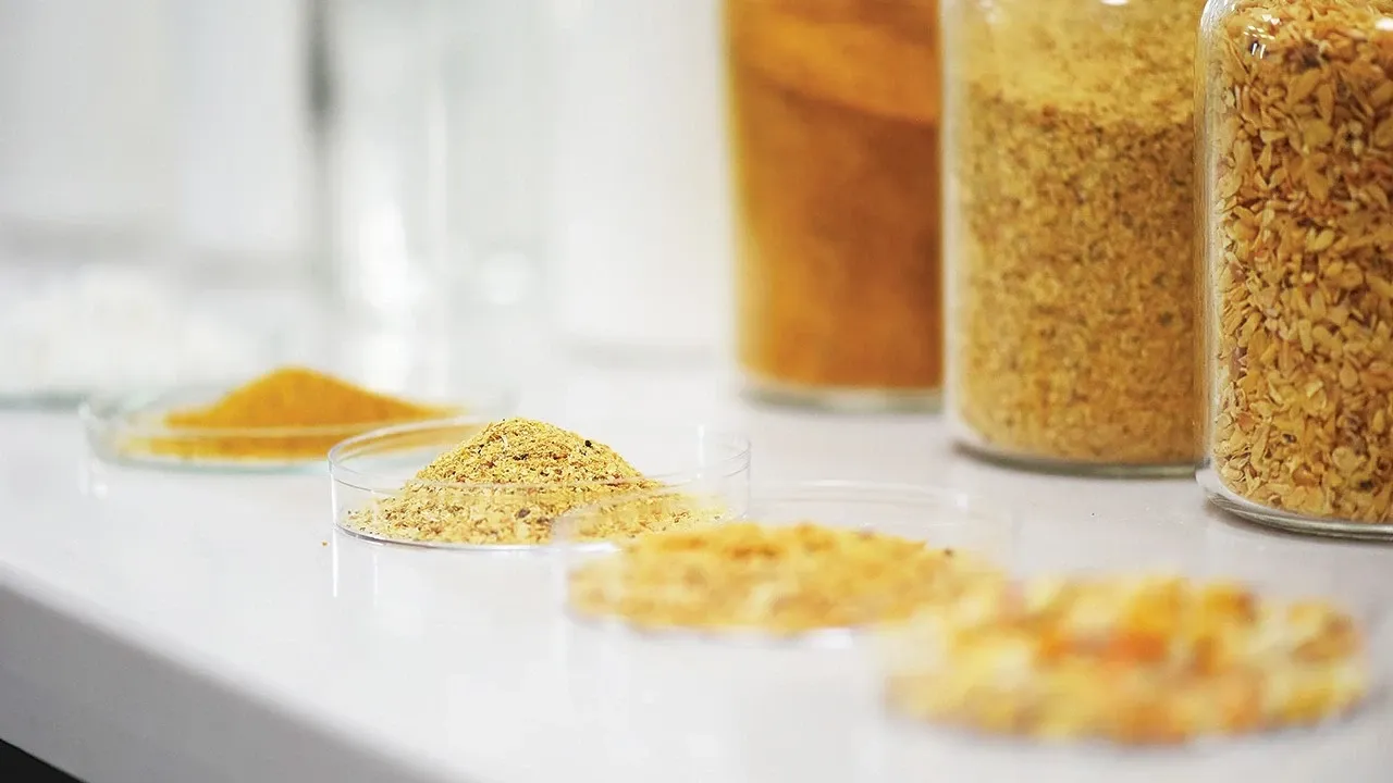 Dünya neden gıda stoklamaya başladı?