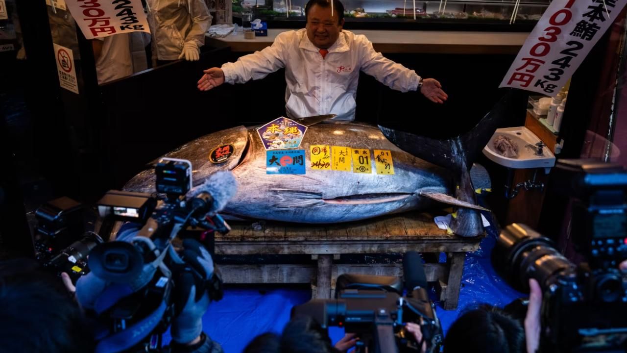 3,2 Milyon Dolara satılan balık rekor kırdı