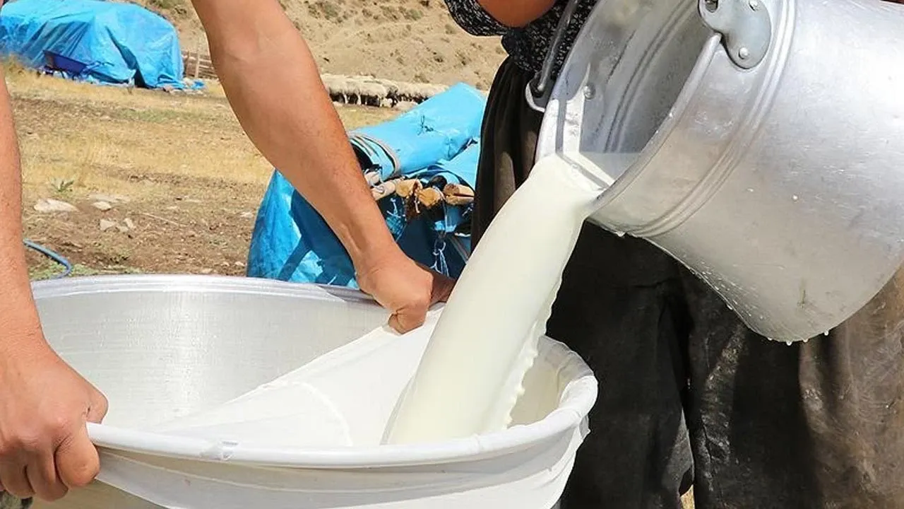 Çiğ süt fiyatı belli oldu