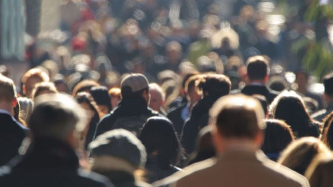 Dünyanın hali: 8 milyar insan ne yapıyor?