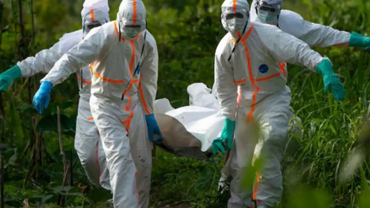 Nijerya’da Lassa ateşi! Can kaybı arttı