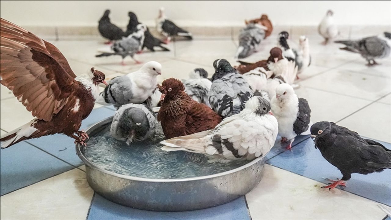 Gusül abdesti nasıl alınır? Hanefilere ve Şafiilere göre ayrı ayrı