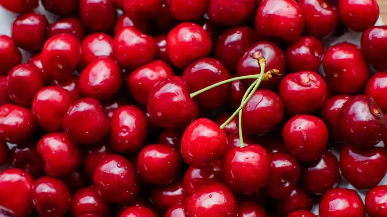 Kirazın tanesi 7 bin 100 TL'ye, kutusu 495 bin TL'ye satıldı