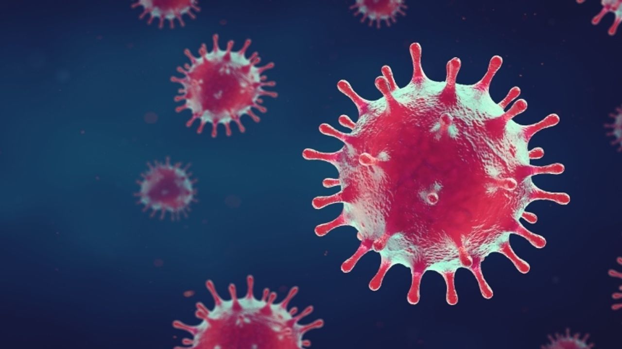 Bu virüs dünyayı tehdit ediyor: Bir ülke daha teyakkuza geçti!