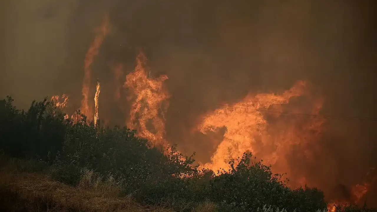 Orman yangınları dehşeti: 15 Ölü!