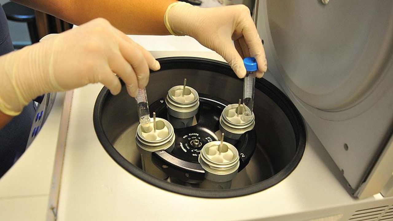 Siyonistler Nesli Hedef Alıyor: Binlerce Embriyo Yok Edildi!