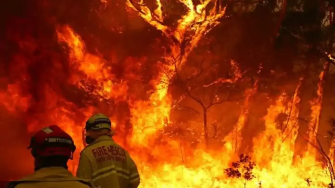 Orman yangınları kontrol altına alınamıyor!