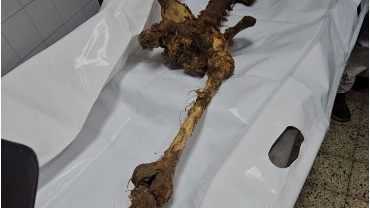 İşte soykırımın bir kanıtı daha...