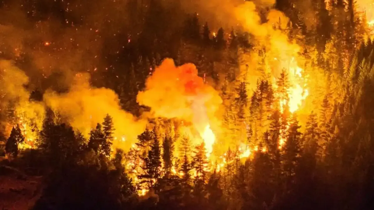 Arjantin'de 50 bin hektar alaı küle döndü!!