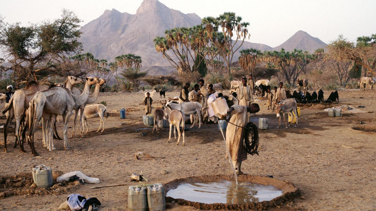 Sudan'da savaş göçerlerin hayatını tehlikeye sokuyor