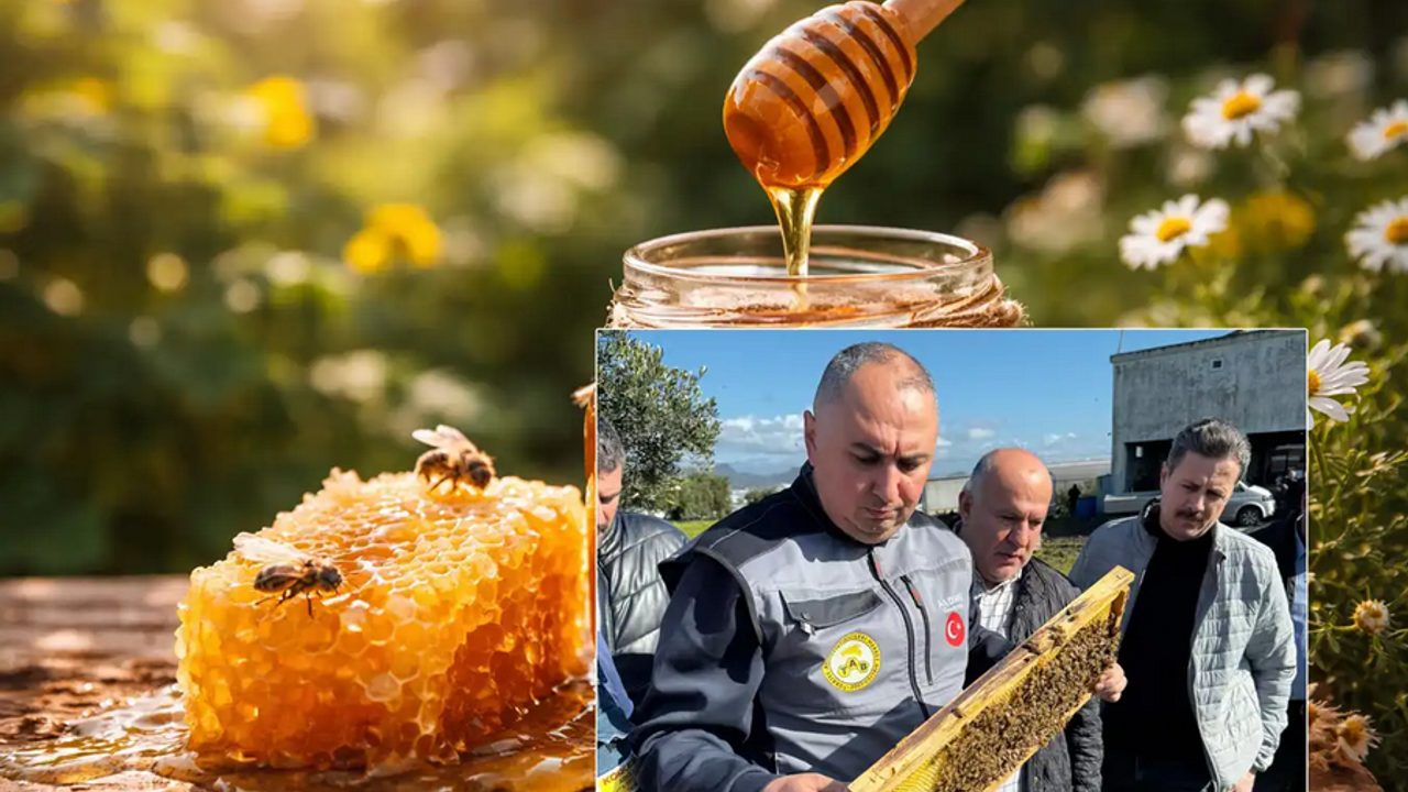 "Koloni sayısı azaldı, bal üretimi arttı"