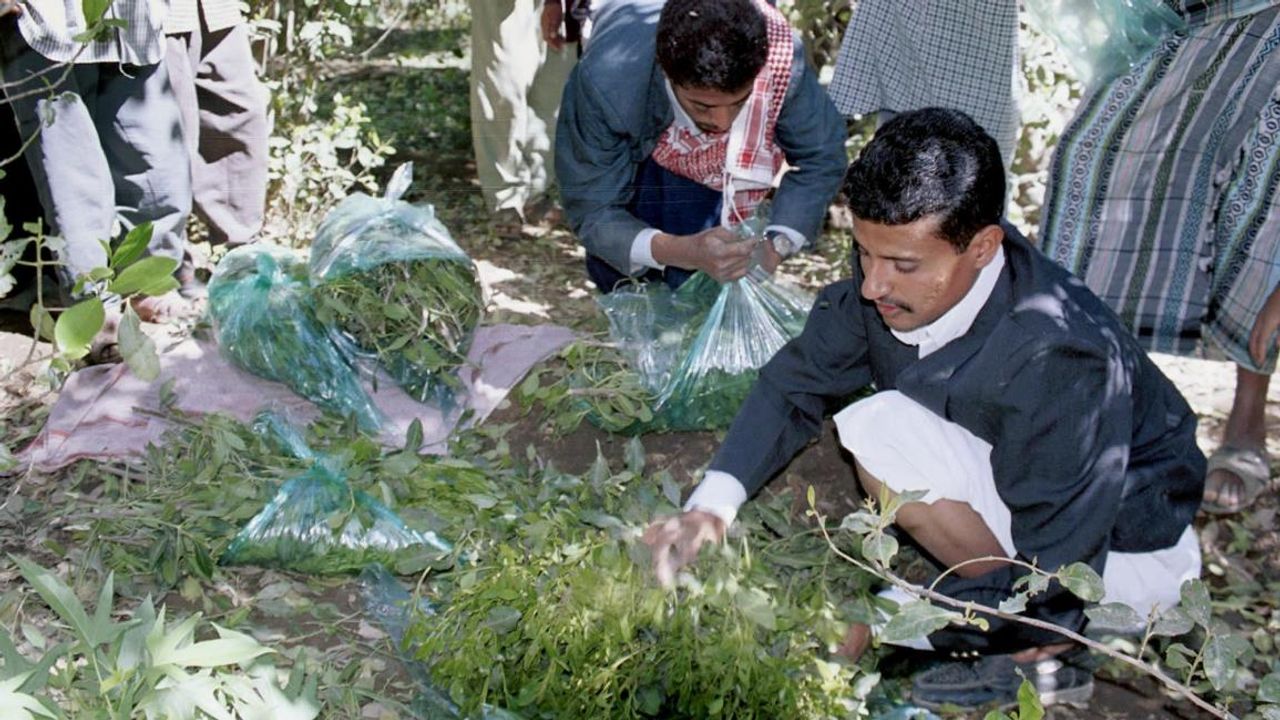 Epstein'dan çıktı: Gattan meyve suyu yapıp dünyaya satma planı