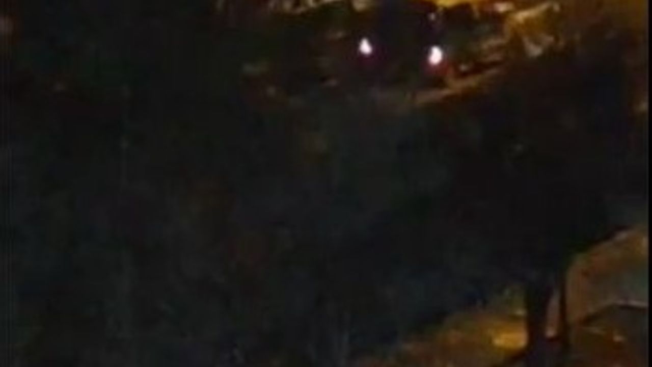 Diyarbakır'da Cami hoparlöründen müzik yayını iddiasına yanıt