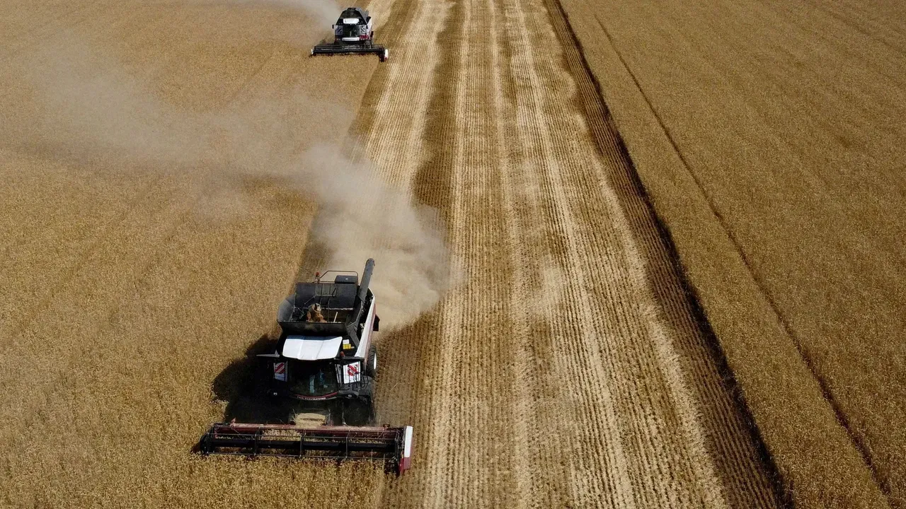 Buğday fiyatlarında artış