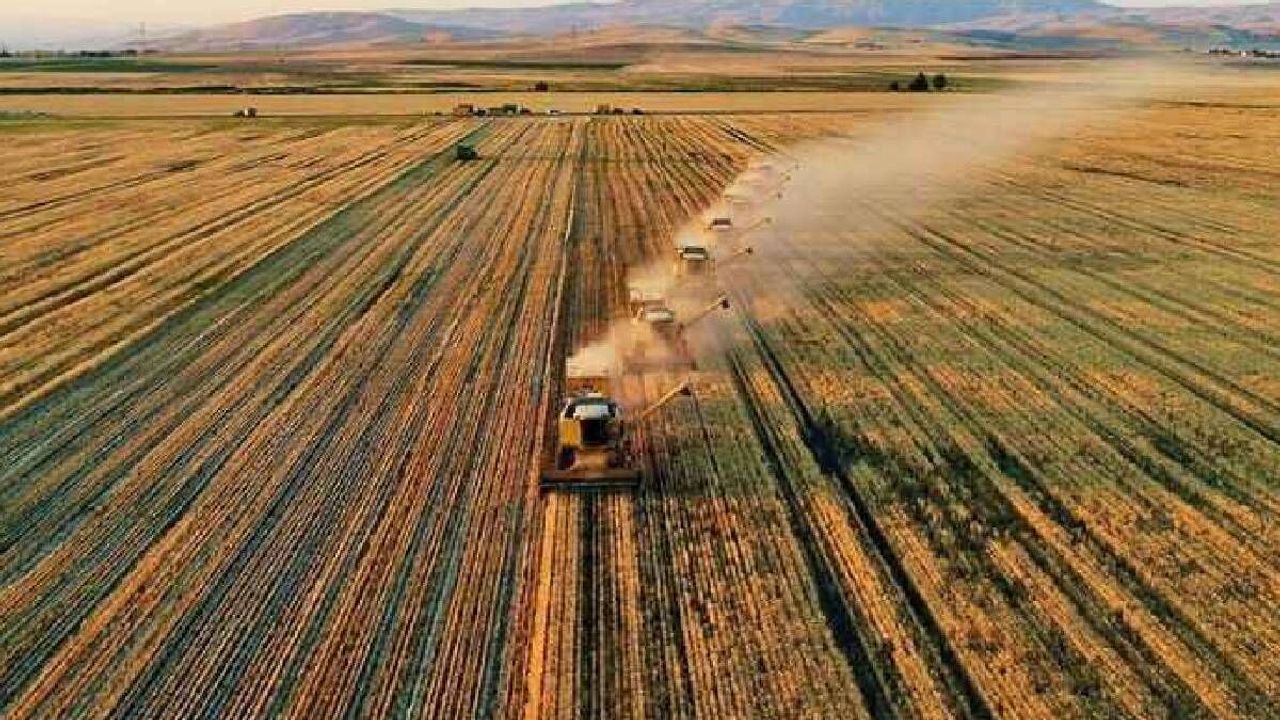 Tarım ÜFE Şubat'ta yıllık arttı