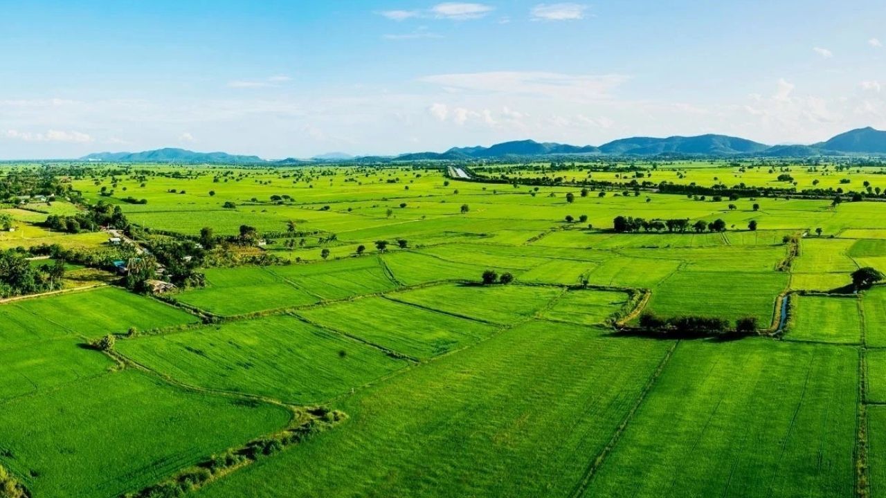 Bakanlık yeni kampanyayı duyurdu! 42 ilde taksitle arsa satılıyor